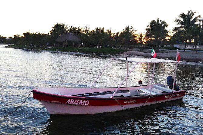 Private Snorkel Tour On The Reef Lagoon - Who Will Love This Tour?