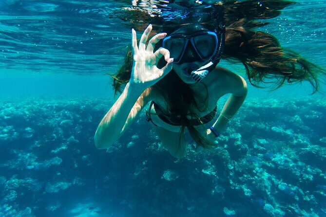 Private Snorkeling Activity in Key Largo - What Makes This Tour Stand Out?