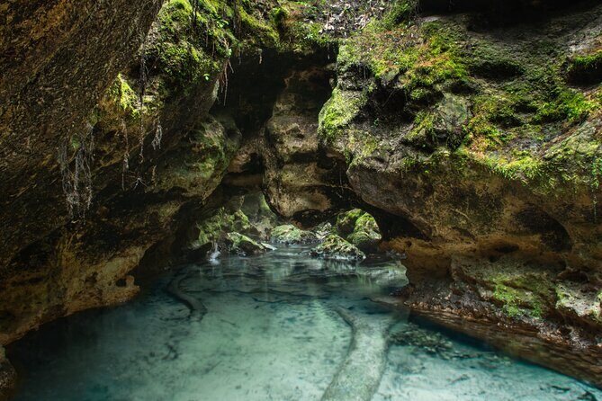 Private Snorkeling Expedition in the Florida Springs - Practical Considerations