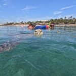 Private Snorkeling with Sea Turtles in Akumal Beach - What to Expect on the Tour
