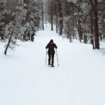Private Snowshoeing Adventure from Badger Pass to Dewey Point - Final Thoughts: Is This Tour for You?
