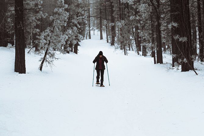 Private Snowshoeing Adventure from Badger Pass to Dewey Point - Final Thoughts: Is This Tour for You?
