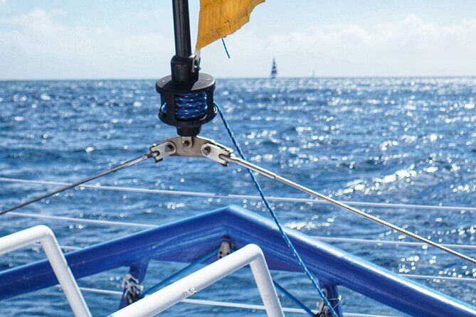 Private South Shore Sail Charter - What to Expect During the Itinerary