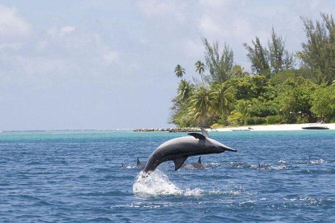 Private Speed Boat Charter with Experienced Captain - What to Expect from the Tour