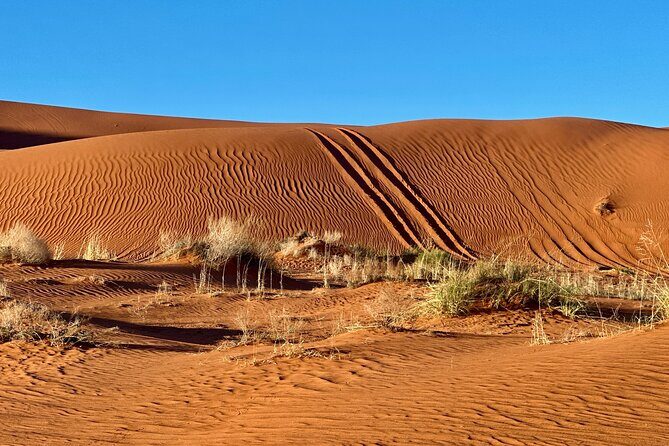 Private Sunset Jeep Ride to Sand Mountain - Why the Experience Offers Good Value