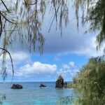 Private Surf Lessons in Lahaina, Maui - A Closer Look at the Experience