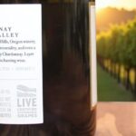 Private Sustainable Wine Tour in Oregon (Willamette Valley) - Why This Tour Stands Out