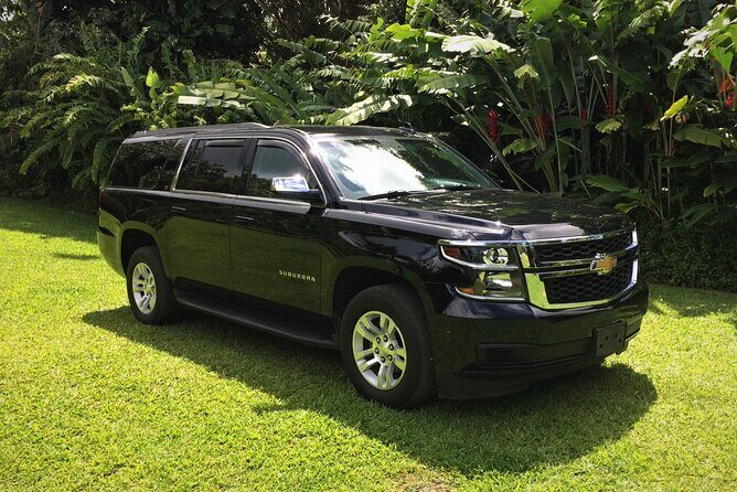 Private SUV Transfer- Lihue Airport to Lihue/Kapaa - The Booking Process and Flexibility