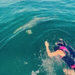 Private Swim with Dolphins And Snorkeling Tour - Final Thoughts on Value and Suitability