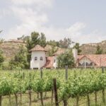 Private Temecula Wine Tour from Bonsall - Overall Value and Practical Considerations