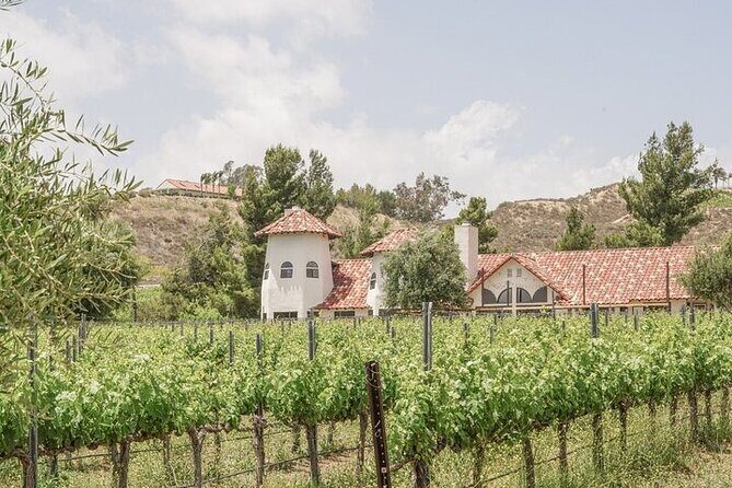 Private Temecula Wine Tour from Bonsall - Overall Value and Practical Considerations