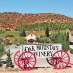Private Temecula Wine Tour from Dana Point - The Experience: What Youll Really Get