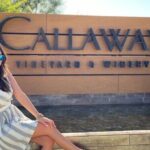 Private Temecula Wine Tour from San Juan Capistrano - Authentic Traveler Insights