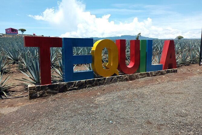 Private Tequila Tour in Guadalajara - Transportation and Flexibility