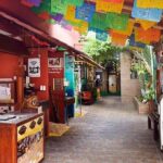 Private Tour: 5-Hour Cozumel Sightseeing with Private Driver and Tequila Tasting - The Itinerary Breakdown: What to Expect