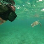 Private Tour: Akumal Marine Turtle Snorkeling and Cenote Adventure - FAQs