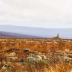 Private Tour Arctic Circle Expedition from Fairbanks - What Does the Tour Cost and Is It Worth It?