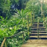 Private Tour: Best of Nadi Highlights - The Experience and Its Value