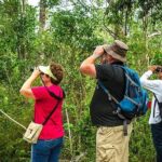 Private Tour: Birdwatching from Cancun - The Sum Up