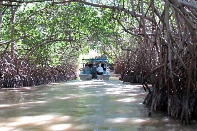 Private Tour: Celestun Biosphere Reserve by Yucatan Concierge - What Travelers Are Saying