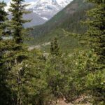 Private Tour: Chugach State Park Hiking Tour from Anchorage - The Itinerary: What to Expect on Your Day