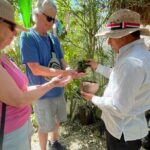 Private Tour Coba ruins Cenote Cavern Mayan Village Lunch - What Travelers Are Saying (Based on Reviews)
