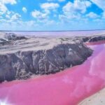 Private Tour: Ek Balam, Pink Flamingos Sanctuary and Tequila Tasting Factory - Authentic Traveler Feedback