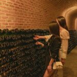 Private tour Freixenet Winery & Peña de Bernal - The Practicalities: What to Expect