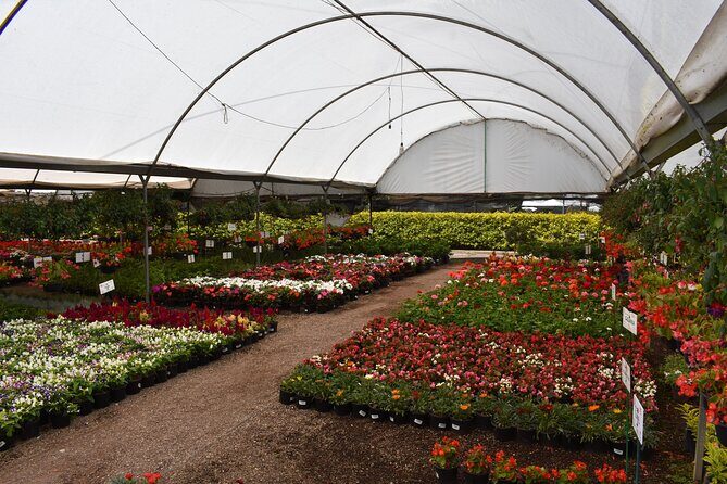 Private Tour in Atlixco and Chipilo from Puebla - What’s Included and What to Expect