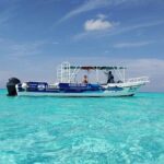 Private Tour in Cozumel El Cielo Sandbar and Reef Snorkeling - Who Is This Tour Perfect For?