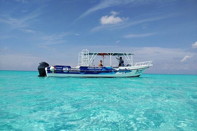 Private Tour in Cozumel El Cielo Sandbar and Reef Snorkeling - Who Is This Tour Perfect For?