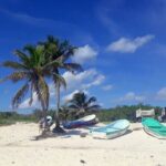 Private Tour in Cozumel in your own way Groups up to 14 People - Who Is This Tour Best For?