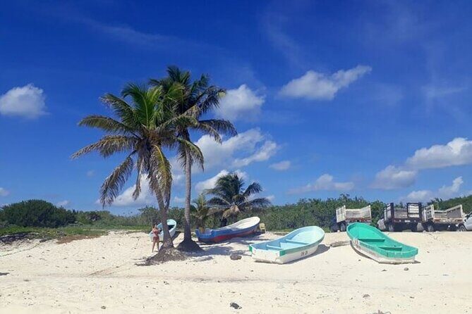 Private Tour in Cozumel in your own way Groups up to 14 People - Who Is This Tour Best For?