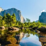 Private Tour in Yosemite - What to Expect from the Tour: A Deep Dive