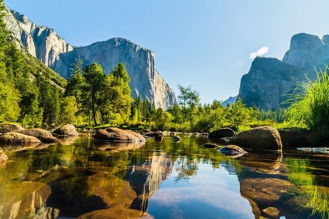 Private Tour in Yosemite - What to Expect from the Tour: A Deep Dive