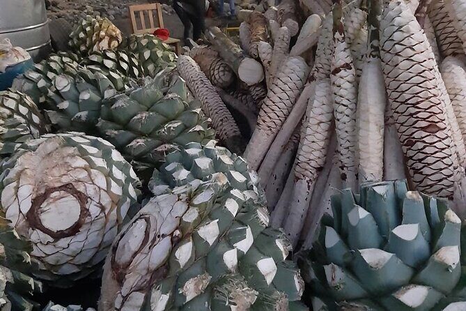 Private tour Mitla, Weavers town, Mezcal and Boil the water - How to Make the Most of Your Day