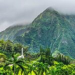 Private Tour Oahu from Honolulu - Who Is This Tour Best For?
