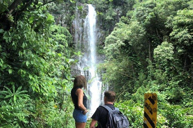 Private Tour : OAHU, MAUI, KAUAI or BIG ISLAND : Pick any Island - What You Can Expect During the Day