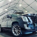 Private Tour of Capilano Suspension Bridge & Grouse Mountain. - What to Expect from the Transportation and Guide