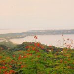 Private Tour of Cerro del Mono - Who Is This Tour Best For?