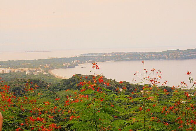 Private Tour of Cerro del Mono - Who Is This Tour Best For?