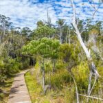 Private Tour of Tahune Airwalk and Hastings Caves from Hobart - Who Is This Tour Best For?