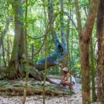 Private tour of Tulum Archaeological Site & Sian Ka'an Muyil - Who Should Consider This Tour?