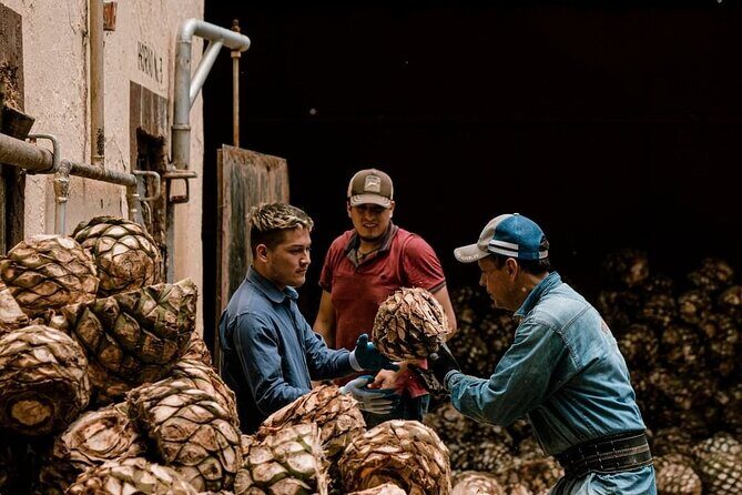 Private Tour one day of Adventure in Tequila and Tequilera Cascahuin - What Makes This Tour Stand Out?