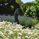 [PRIVATE TOUR] Puffing Billy and Dandenong Mountains - The Journey Through the Dandenong Mountains and Puffing Billy