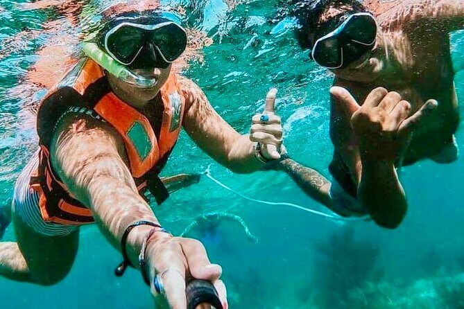 Private Tour Reefs and Corals Puerto Morelos Snorkel Lunch - Final Thoughts: Who Should Consider This Tour?