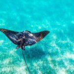 Private tour - Sian Ka´an Adventure - Final Thoughts