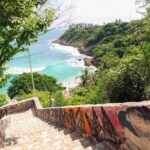 Private Tour to Carrizalillo Mirador Turtles and Release Turtles - The Value of This Tour