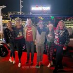 Private Tour to Christmas Winter Village, Bayshore and Hyde Park - Hyde Park Village: A Christmas Picture Perfect Spot