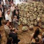 Private Tour to Distillery Tequila Ocho and Arandas - What’s Included and What’s Not